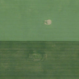 Satellite imagery of Blackspring Ridge, CA