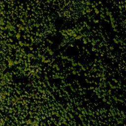 Satellite imagery of Spindelberg, DE