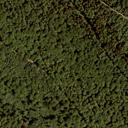 Satellite imagery of Gaulskopf, DE