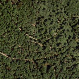 Satellite imagery of Pfaffenplatte, DE