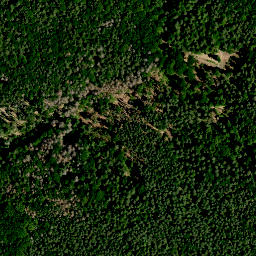 Satellite imagery of Stachel, DE