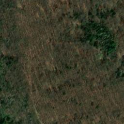 Satellite imagery of Burgstall, DE