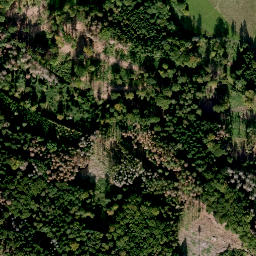 Satellite imagery of Gorkum, DE