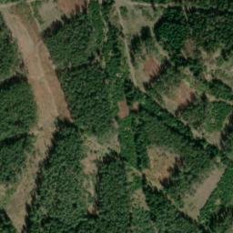 Satellite imagery of (U těšovské hájenky) [Milíkov u Mariánských Lázní], CZ