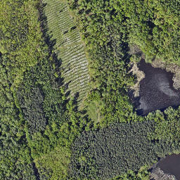 Satellite imagery of 688/682, PL