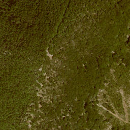 Satellite imagery of Ranselberg, DE