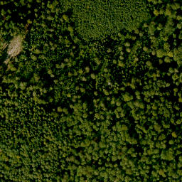 Satellite imagery of Spindelberg, DE