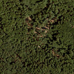 Satellite imagery of Gaulskopf, DE