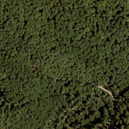 Satellite imagery of Gaulskopf, DE