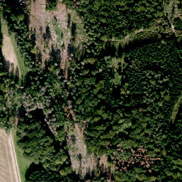 Satellite imagery of Gorkum, DE