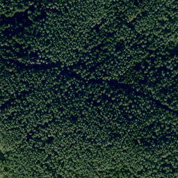 Satellite imagery of Rauher Berg, DE
