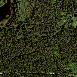 Satellite imagery of Rosenbühl, DE