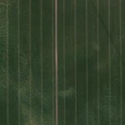 Satellite imagery of [Ovčáry u Kolína] church t., CZ