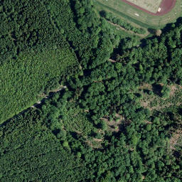 Satellite imagery of Hohe Buch, DE
