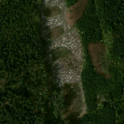 Satelita