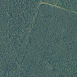 Satellite imagery of 702/695/703/695, PL