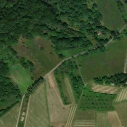 Satellite imagery of Rauenthaler Berg, DE
