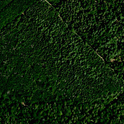 Satellite imagery of Tonberg, DE