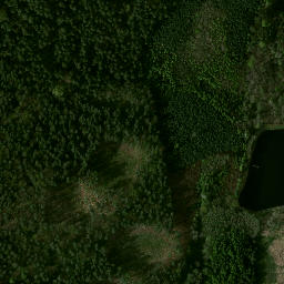 Satelita