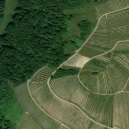Satellite imagery of Rauenthaler Berg, DE