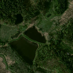 Satelita
