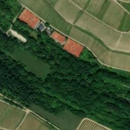 Satellite imagery of Rauenthaler Berg, DE