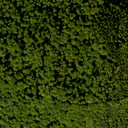 Satellite imagery of Querberg, DE