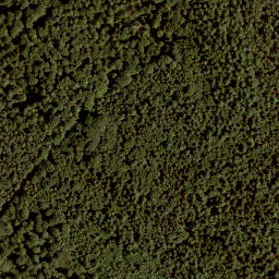 Satellite imagery of Müsselberg, DE