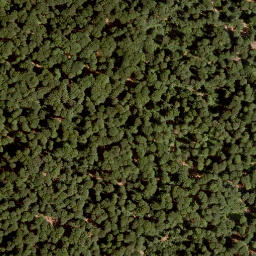 Satellite imagery of Müsselberg, DE