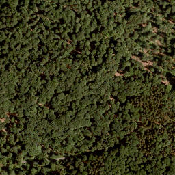 Satellite imagery of Sohlhöhe, DE