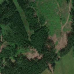 Satellite imagery of [Červená Voda-Šanov] church t., CZ