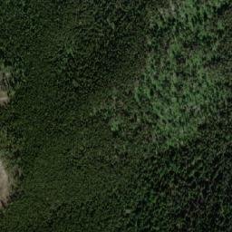 Satellite imagery of Wapiti Mountain, CA