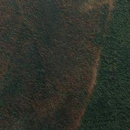 Satellite imagery of Wapiti Mountain, CA