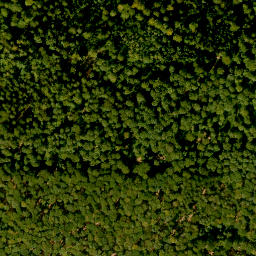 Satellite imagery of Steigkoppe, DE