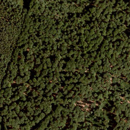 Satellite imagery of Müsselberg, DE