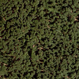 Satellite imagery of Müsselberg, DE