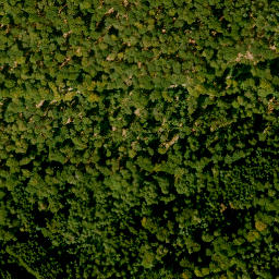 Satellite imagery of Steigkoppe, DE