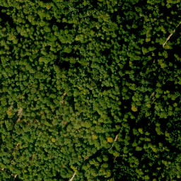 Satellite imagery of Büttenberg, DE