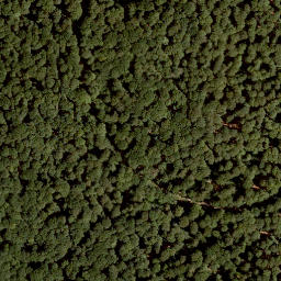 Satellite imagery of Müsselberg, DE