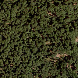 Satellite imagery of Müsselberg, DE