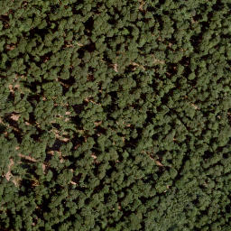 Satellite imagery of Müsselberg, DE