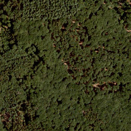 Satellite imagery of Steinernes Haus, DE