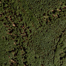 Satellite imagery of Steinernes Haus, DE