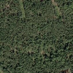 Satellite imagery of Císařský les [Mnichov u Mariánských Lázní], CZ