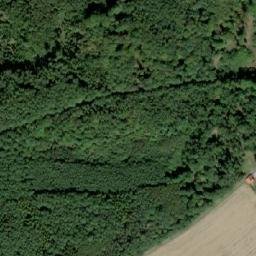 Satellite imagery of Čepina [Velká Buková], CZ