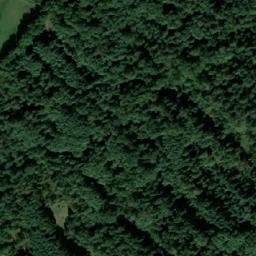 Satelita