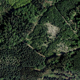Satellite imagery of Bienenberg, DE