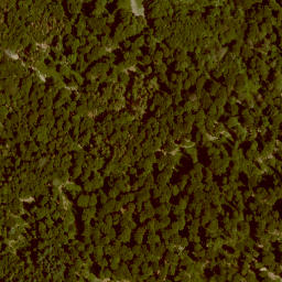 Satellite imagery of Jägerhorn, DE