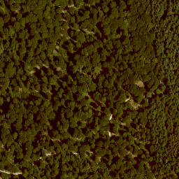 Satellite imagery of Jägerhorn, DE