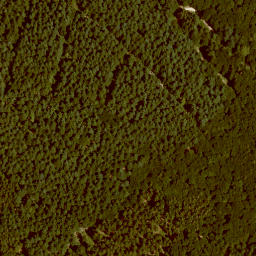Satellite imagery of Jägerhorn, DE